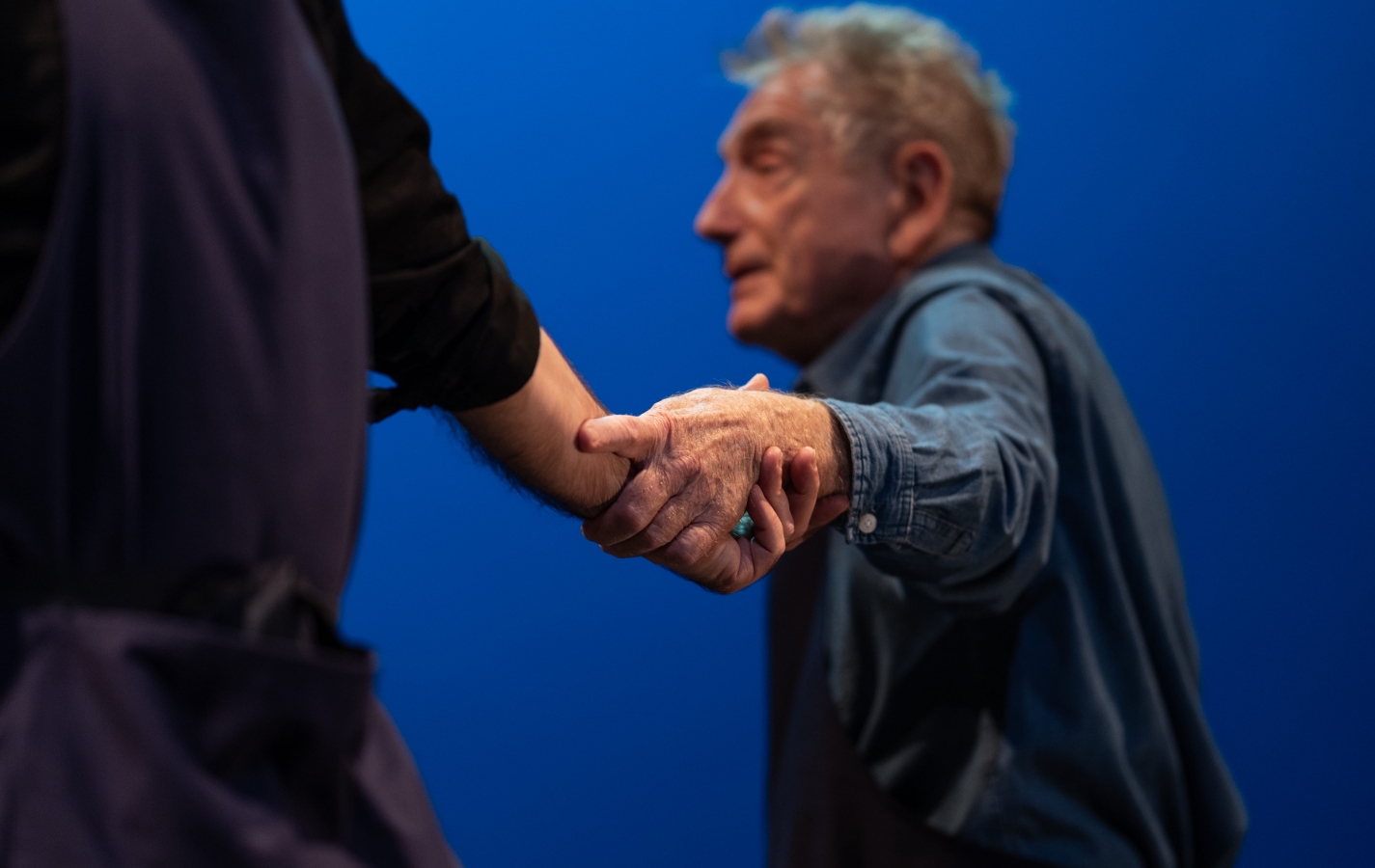 rencontre « les écosystèmes émergents (équilibres issus du brassage planétaire) »