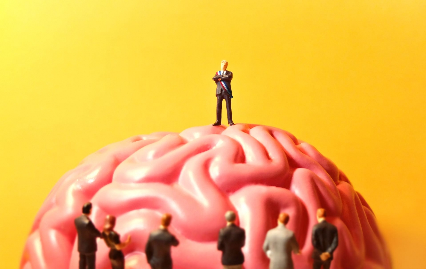 L’art d’avoir toujours raison