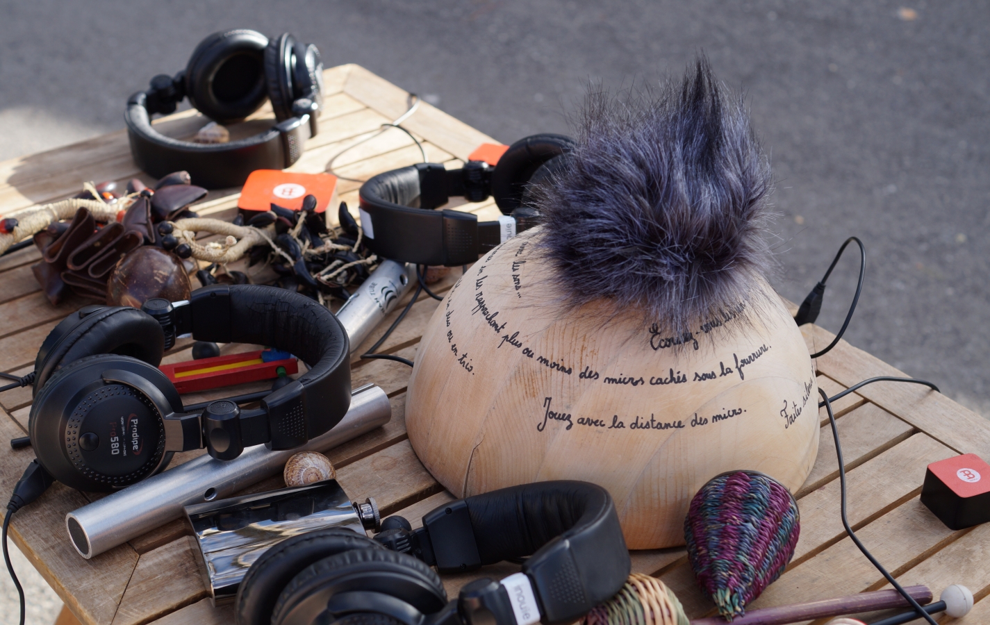 Écoute dans l'Ubaye