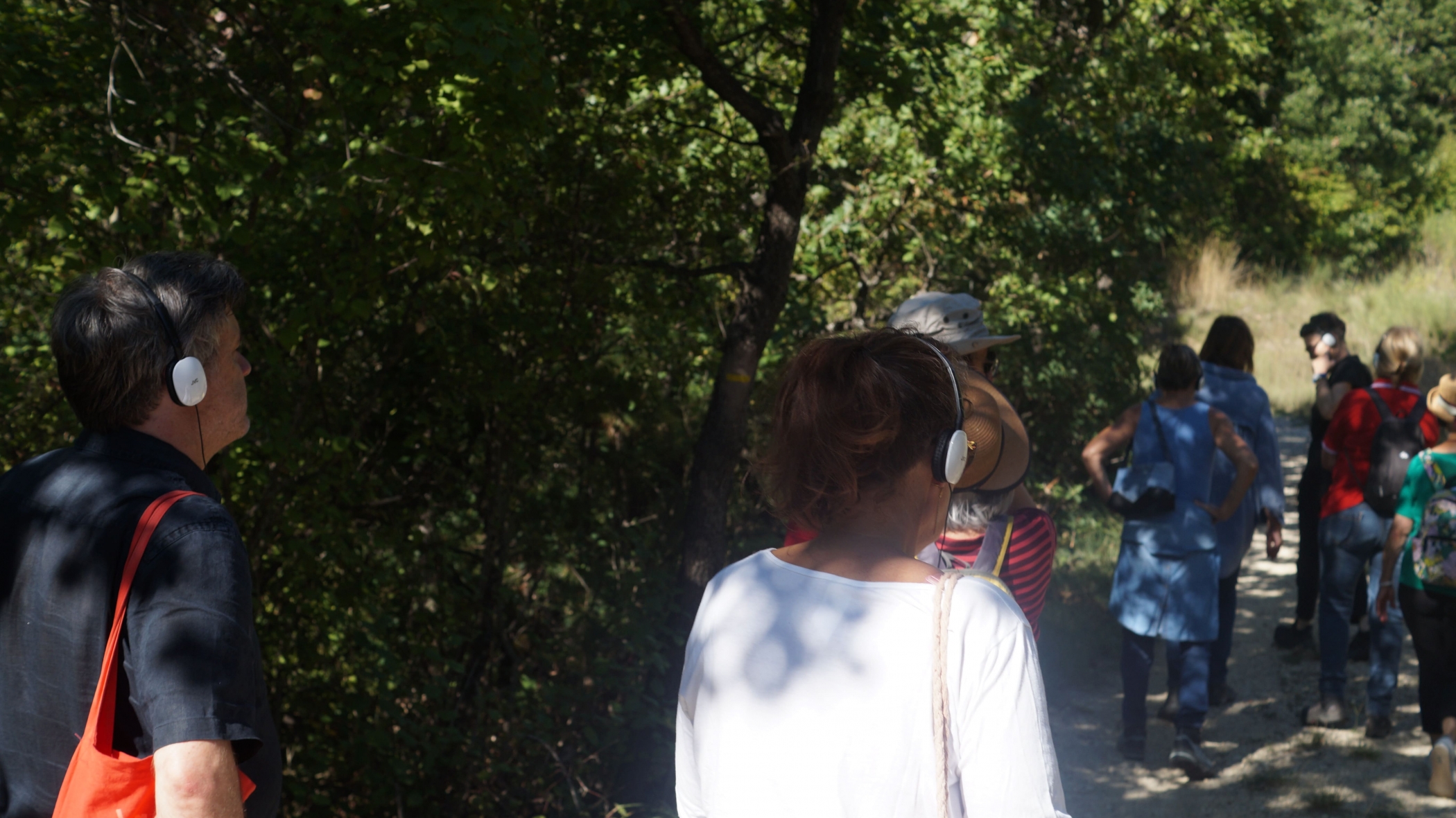 Nouvelle audio-balade en ligne, direction Sourribes !