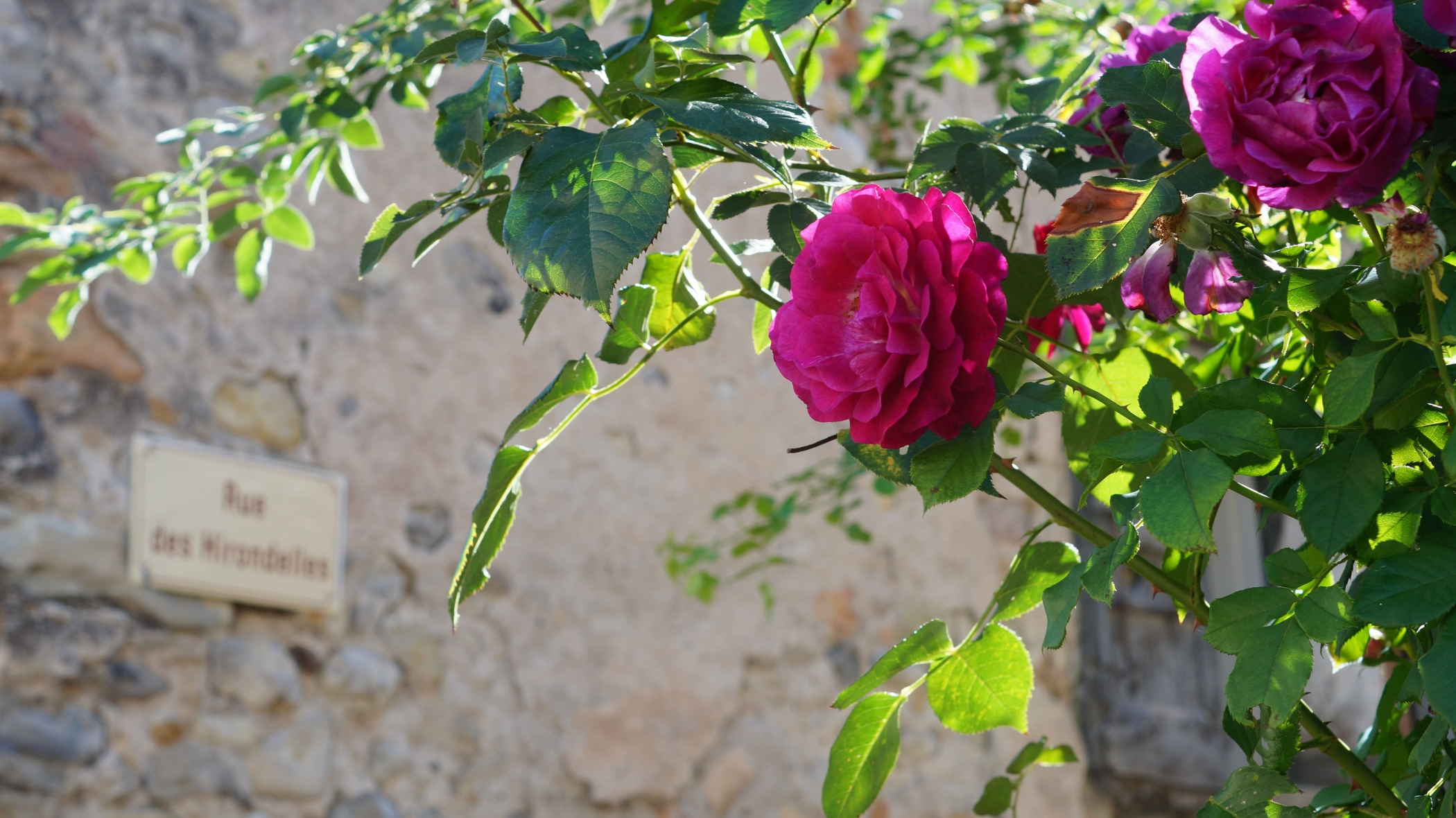 Nouvelle audio-balade en ligne, direction Sourribes !