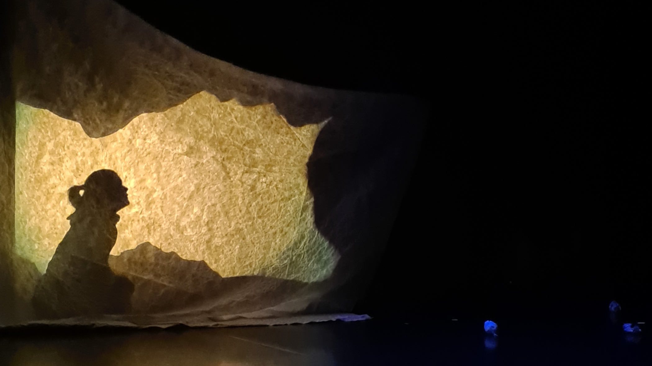 Une semaine Sous la Surface entre spectacles et ateliers