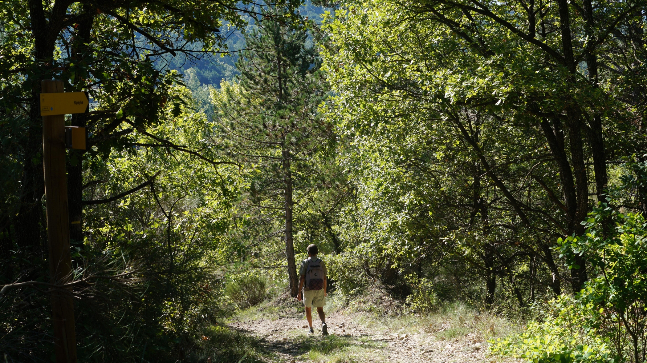 Nouvelle audio-balade en ligne, direction Sourribes !